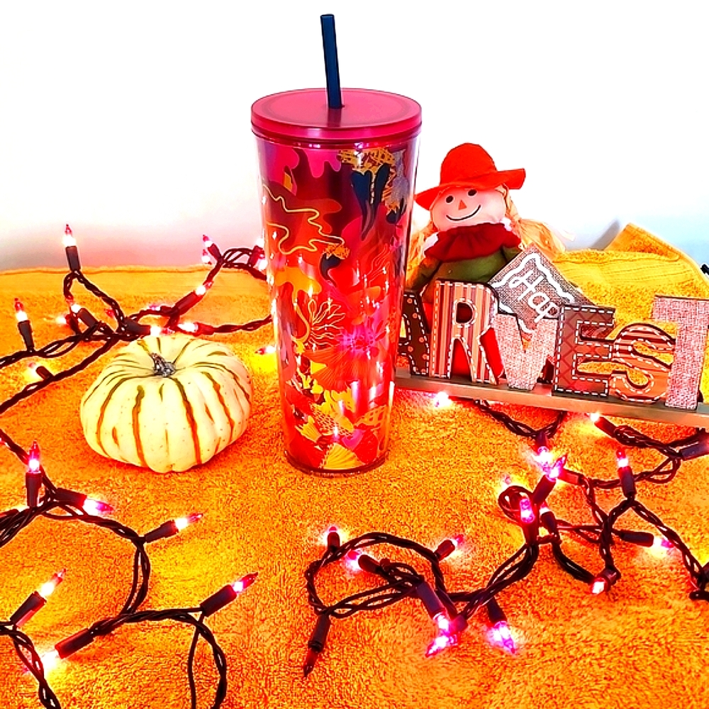 ❤🩷💕 Starbucks 20oz Tumble